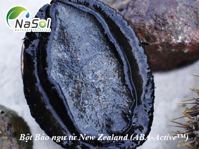 Bột Bào ngư từ New Zealand (ABA-Active™)