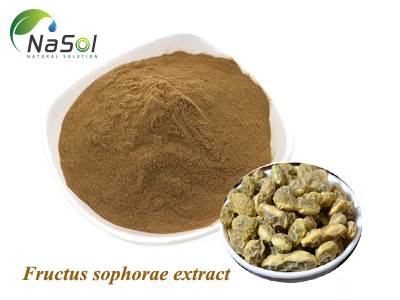 Chiết xuất hòe giác (Fructus sophorae extract)
