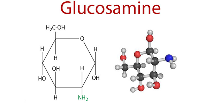 Cấu tạo glucosamin