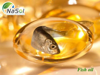 Dầu cá (Fish oil)