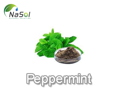 Peppermint (Bạc hà)
