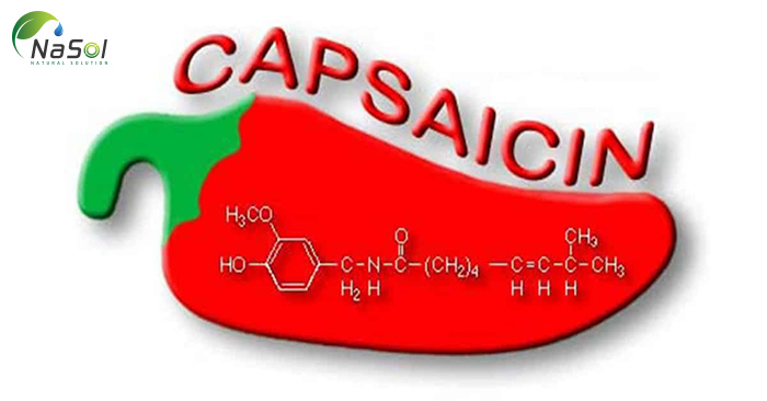 Capsaicin là gì