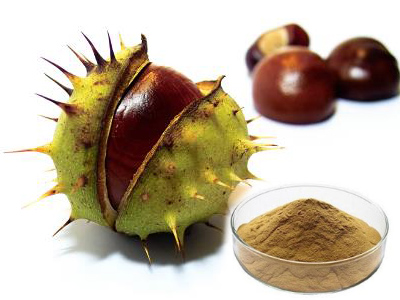 Horse chestnut (Hạt dẻ ngựa)
