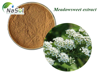 Meadowsweet extract (Chiết xuất Cây Râu dê)
