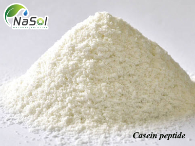 Casein peptide (Casein thủy phân)