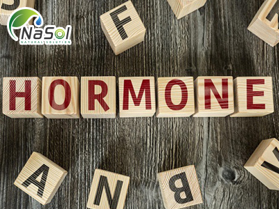 6 Hormone ảnh hưởng đến cân nặng