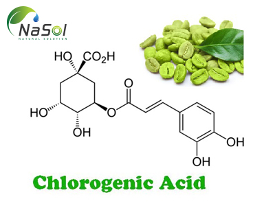 Acid chlorogenic là gì? Công dụng, tác dụng phụ và liều dùng
