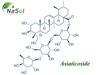 Asiaticoside là gì? Cách chiết và lợi ích sức khỏe