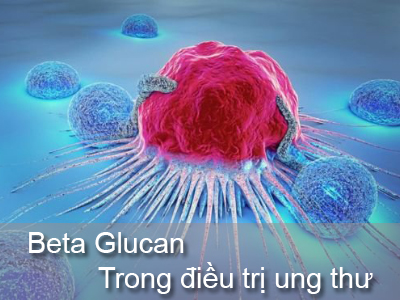 Beta Glucan trong điều trị ung thư