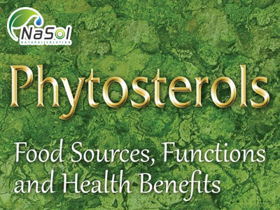 Lợi ích sức khỏe của Phytosterols