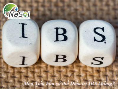 Bổ sung Men Tiêu hóa có thể làm giảm triệu chứng IBS không?