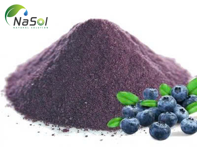 Wild Blueberry extract (chiết xuất trái Việt quất dại)