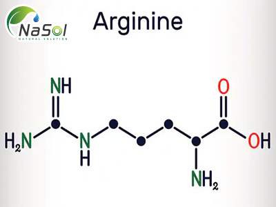 L-arginine: Lợi ích và những lưu ý khi bổ sung