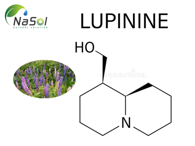 Lupinine là gì? Nguồn gốc và những lưu ý