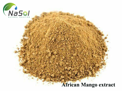 African Mango extract (Chiết xuất hạt Xoài Châu Phi)