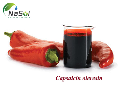 Capsaicin oleresin (Dầu nhựa ớt)