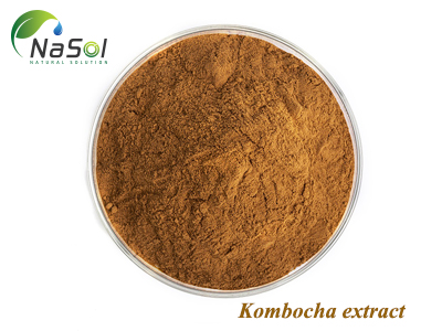 Kombucha extract (Chiết xuất Kombucha)