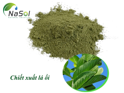 Psidium guajava leaf extract (Chiết xuất lá ổi)