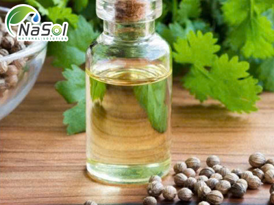Coriander oil