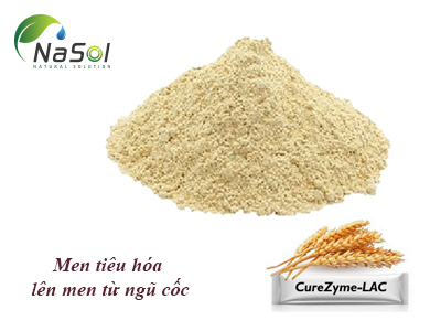 Curezyme-LAC (Men tiêu hóa lên men từ ngũ cốc)