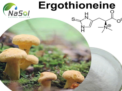 L-Ergothioneine (EGT)