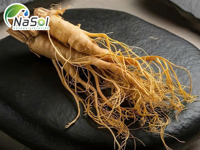 Ginseng peptide