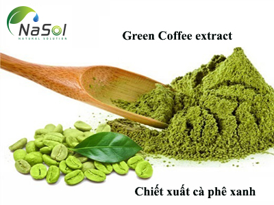 Green Coffee extract 