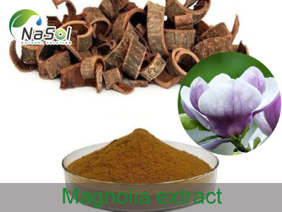 Magnolia extract (Chiết xuất hoa mộc lan)
