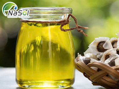 Top 10 tác dụng của dầu chùm ngây 