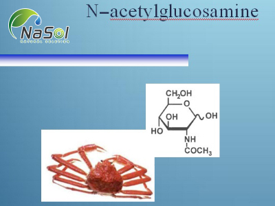 N-acetyl glucosamine