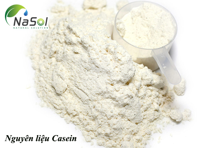 Casein (Protein từ sữa)