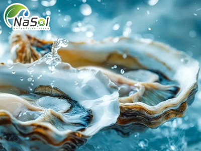 Oyster peptide