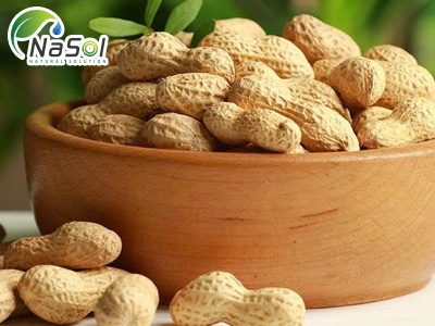Peanut peptide