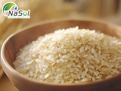 Rice peptide