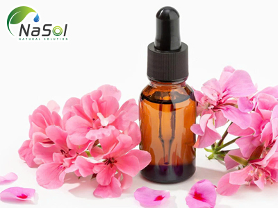 Rose Geranium oil