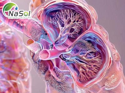 Spleen peptide