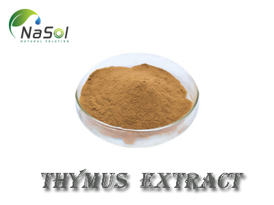 Thymus extract (Chiết xuất tuyến ức)