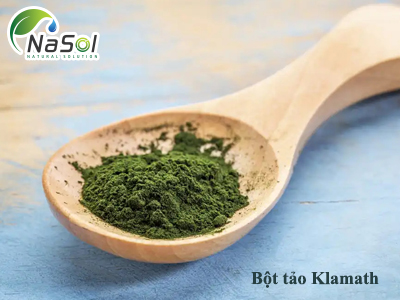 Bột tảo Klamath (Algae Klamath powder)