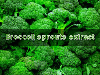 Broccoli sprouts extract (Chiết xuất mầm bông cải xanh)