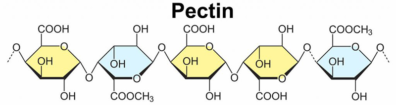 cấu trúc của pectin