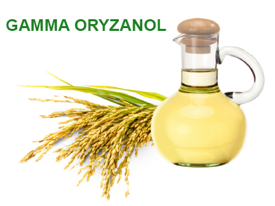 Gamma oryzanol (chiết xuất dầu cám gạo)