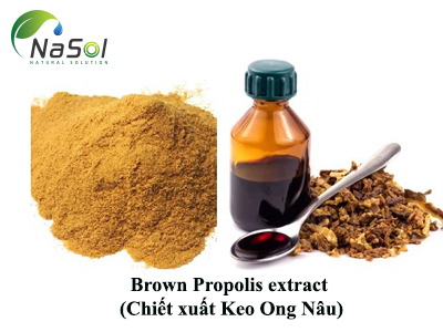 Brown Propolis extract (Chiết xuất Keo Ong Nâu)