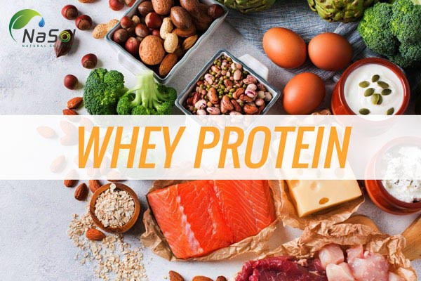 công dụng của Whey protein
