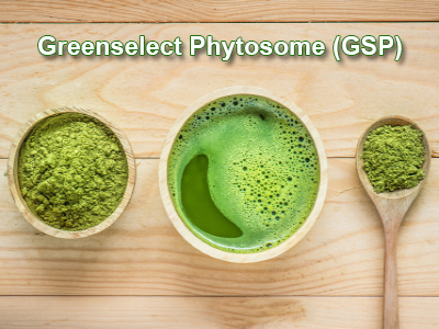 Greenselect Phytosome (GSP)