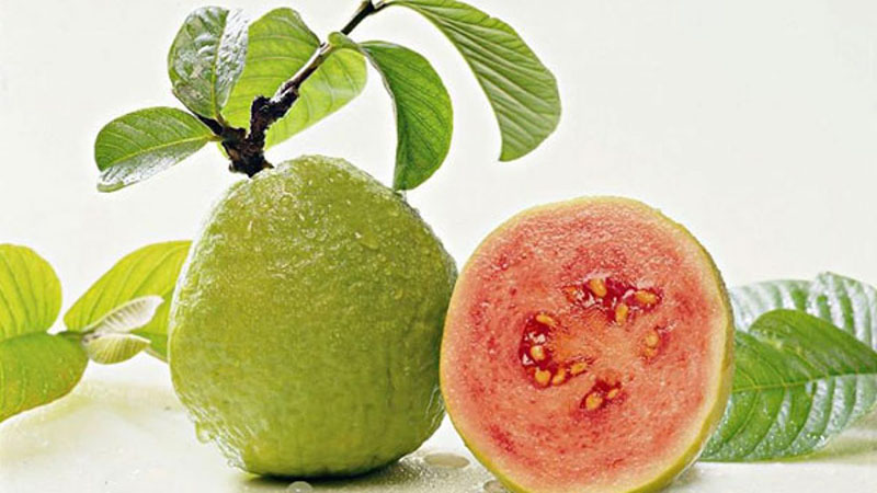 guava là gì
