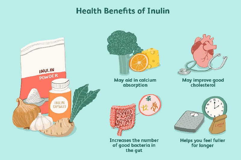 lợi ích của inulin
