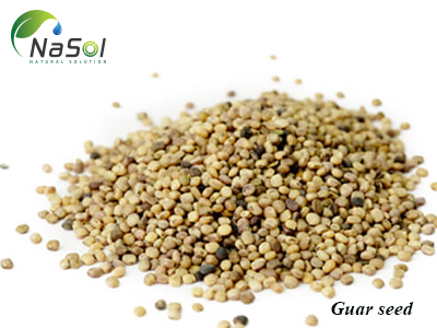 Lợi ích sức khỏe của hạt Guar (Guar seed)
