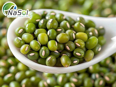 Mung bean peptide