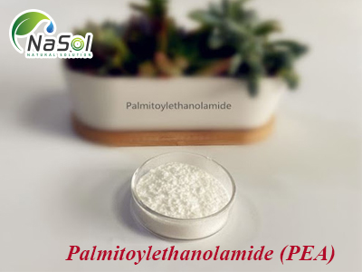 Palmitoylethanolamide (PEA)