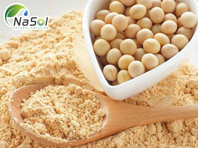 Soybean peptide